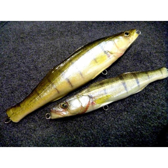 Blank Zander 20cm 