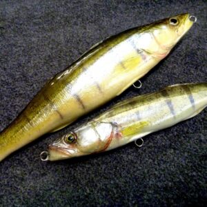 Blank Zander 20cm 