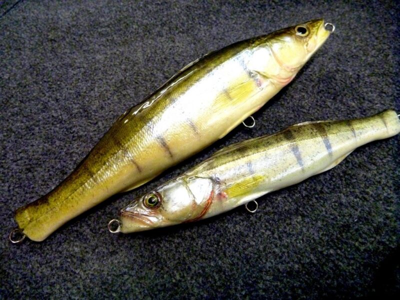 Blank Zander 20cm