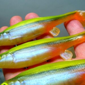 Jaź 12cm  (kopytko)