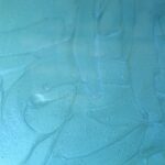 Pigment perłowy Niebiesko Zielony 3g (10ml)