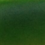 TRANSPARENT - POMARAŃCZOWY 50ml - Farba transparentna